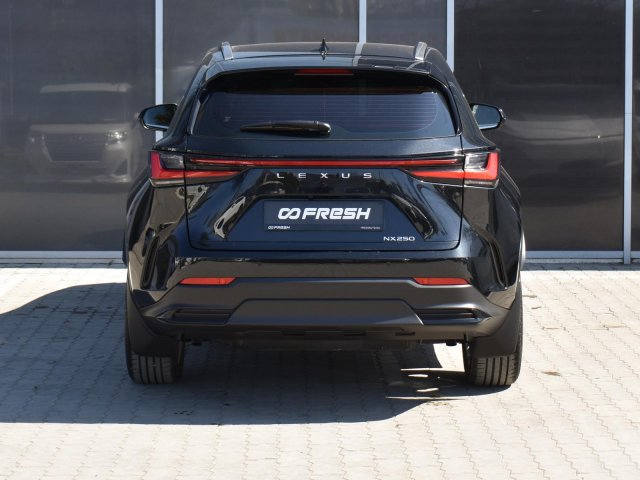 Lexus NX 2022